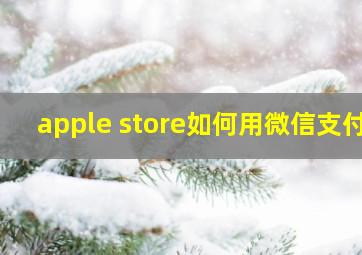 apple store如何用微信支付